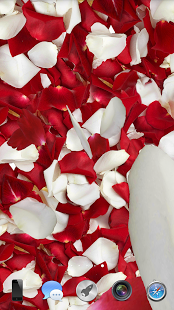 Download Petals 3D live wallpaper